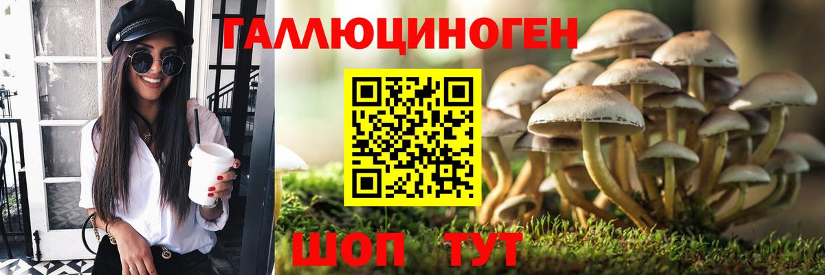 Галлюциногенные грибы мицелий Чехов